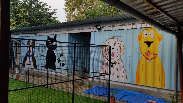 Shelter for Cats & Dogs (Awaaz, VOSA)